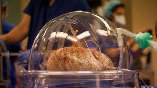 d0136727-76f9-11ed-b07d-02b7b76b